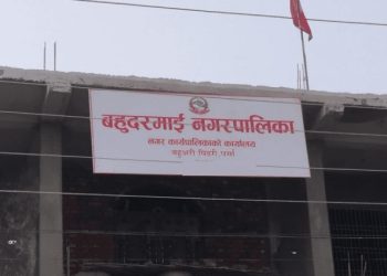 अधिकृत नआउँदा मधेसका पालिकामा बेथिति, निमित्तकै भरमा सेवा